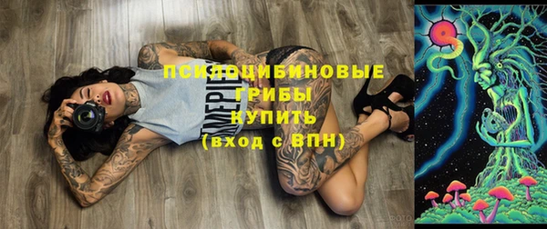 тгк Баксан