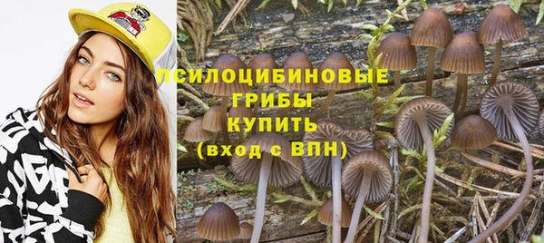 тгк Баксан